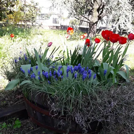 La Casa Nel Verde *