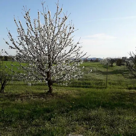 La Casa Nel Verde *
